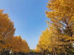 -玲珑塔公园