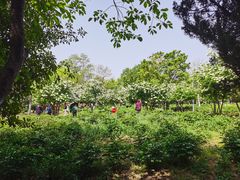 -合肥三国新城遗址公园