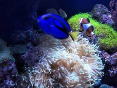 -成都浩海立方海洋公园