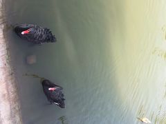-芭东小镇温泉