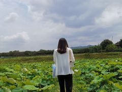 -光明小镇欢乐田园