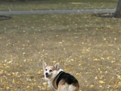 -西北湖绿化广场