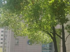 -复旦大学附属肿瘤医院(徐汇院区)