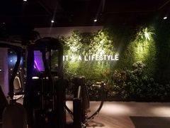 -威尔仕健身·游泳(KING88店)