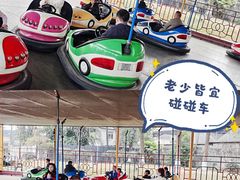 -成飞公园