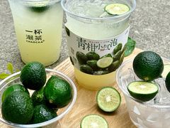 -一杯潮茶·专注潮汕茶饮(朝阳庄店)