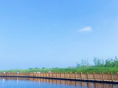 -白洋淀风景区