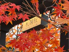 -Blue Concept Cafe&Farm·關於藍
