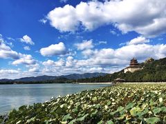 -北京大学-学五食堂