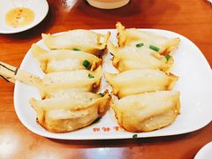 鲜肉锅贴-小姜锅贴(凤凰街店)