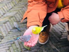 -太阳岛度假酒店