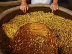 -苏州市吴中区光福窑上花果蜜饯厂