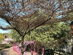 -佛山华盖山公园