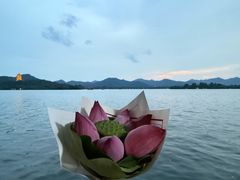 -柳莺湖上·湖景餐厅·江南菜(西湖店)