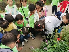 -宾果蒙特梭利托育儿童之家幼儿园(爱琴海店)