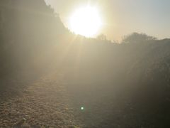 -滨河世纪广场公园