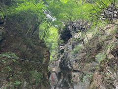 -黑河国家森林公园