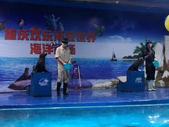 -重庆欢乐海底世界