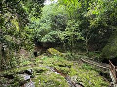 -苍龙峡风景区