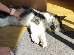 -METAL HANDS(五道营店)