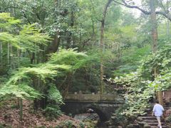 -灵隐飞来峰景区