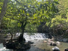 -石台牯牛降景区