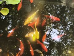 -万寿八仙宫