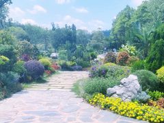 -东莞植物园