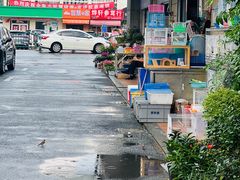 -南汇花鸟市场(上海浦东新花卉店)