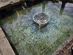 -丽江玉水寨