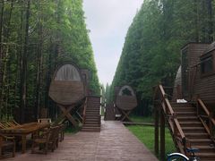 -黄海国家森林公园