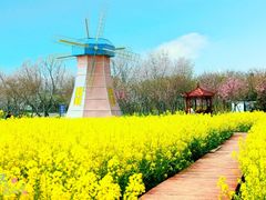 -武汉紫薇都市田园
