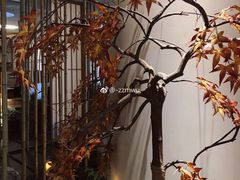 -梅间堂茶馆(绿地缤纷城店)