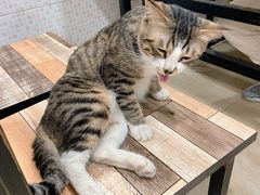 -玉椰林甜品店(创始店)