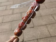 -东台西溪天仙缘景区