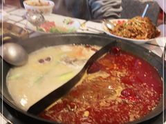 -朱光玉火锅馆(正弘城店)