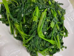 -南燕湾渔家码头