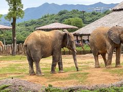 -杭州野生动物世界