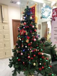 -芳朵美容养生SPA