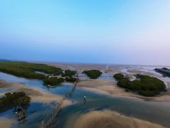 -北海金海湾红树林生态旅游区