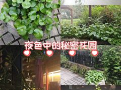 -野蔓果·山野菜(西湖景区·龙井茶田店)