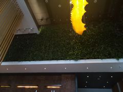 -优逸酒店(柳州窑埠古镇万象城店)