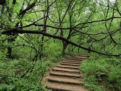 -长白岛森林公园