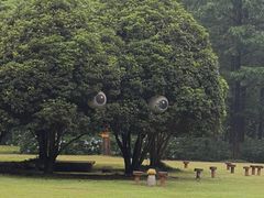 -五泄景区