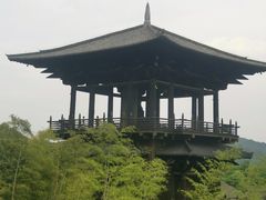 -大唐贡茶院