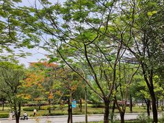 -中国移动南方基地