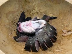 -云中鱼蒸汽石锅鱼(川沙百联店)