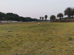 -迪茵湖田家舍生态农场