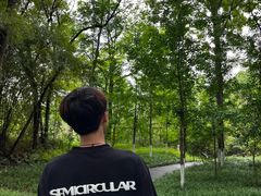 -桤木河湿地公园