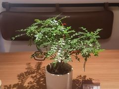 -CURRY YA 熟成咖哩專門店(深圳湾万象城店)